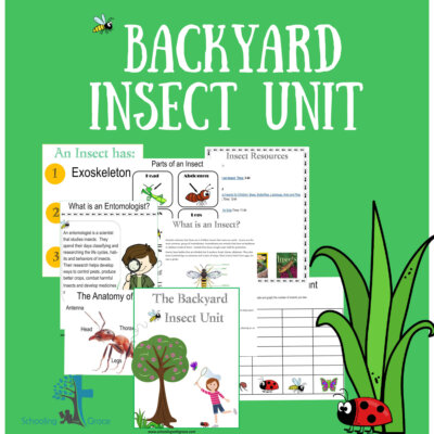 Backyard Insect Unit
