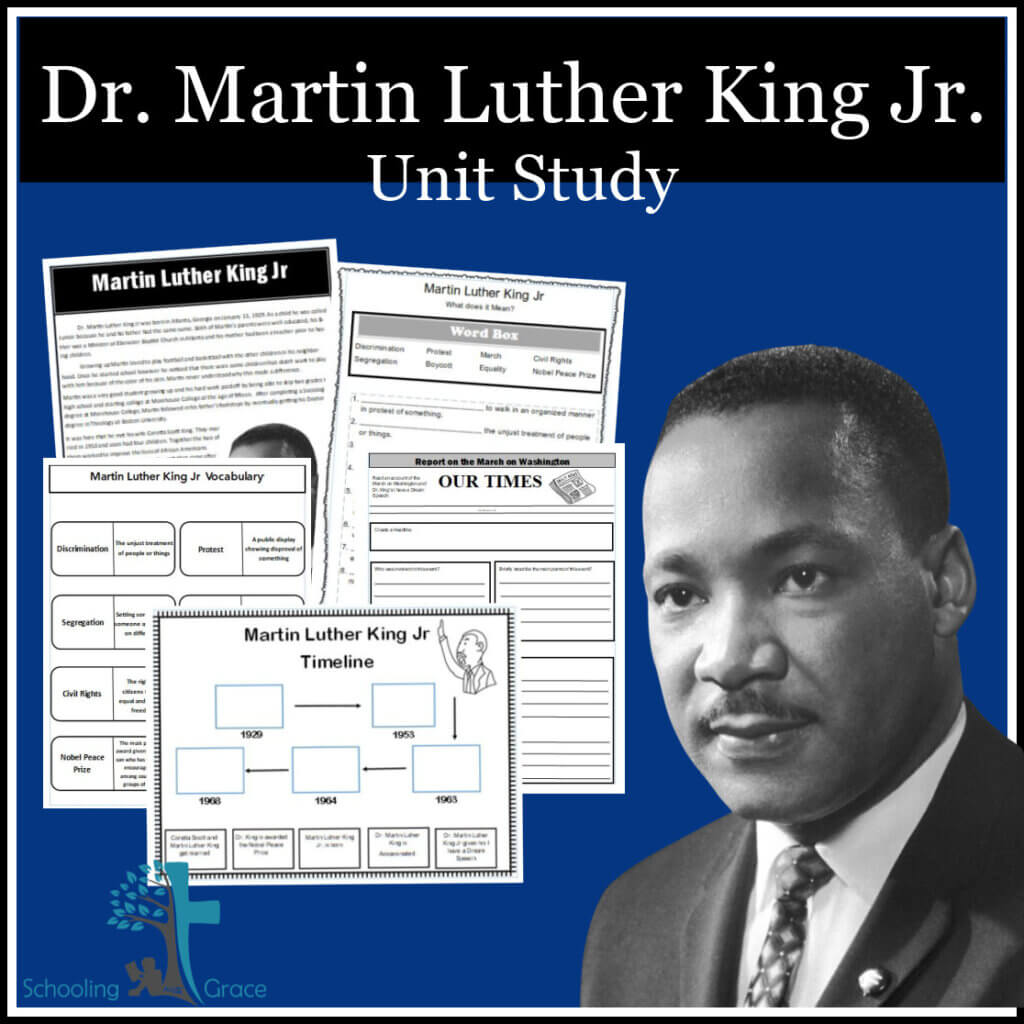 Martin Luther King Jr resources