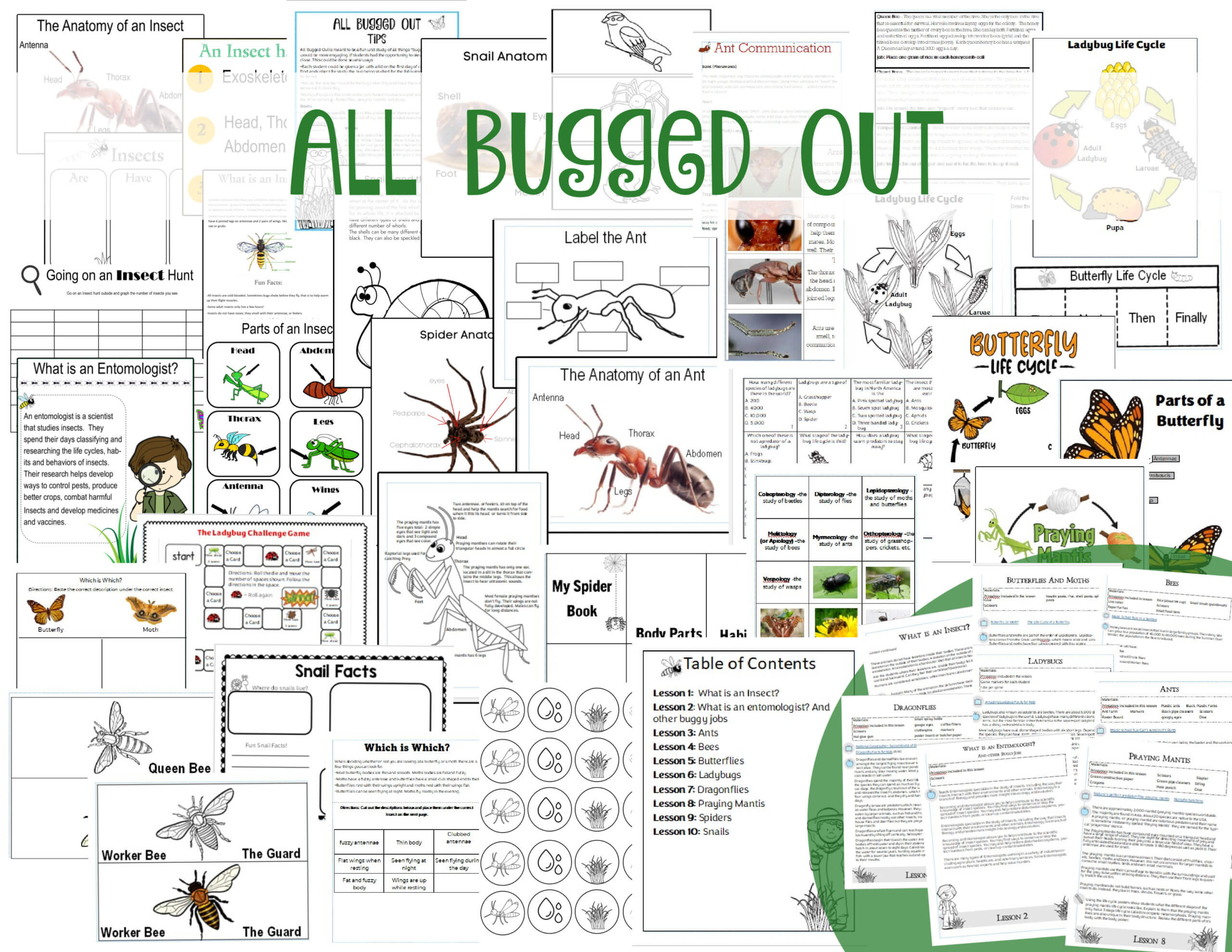 Insect Co-op class