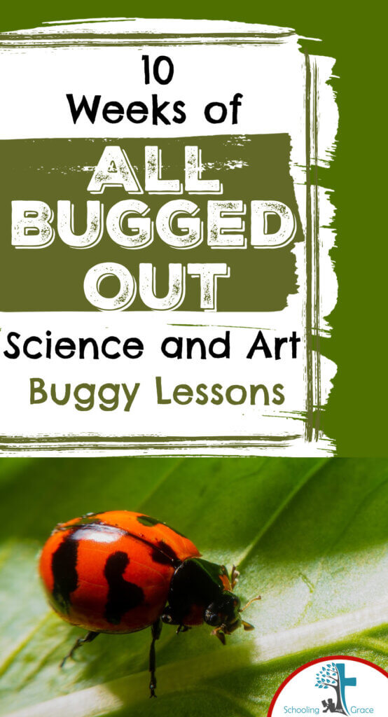 All Bugged out 10 weeks of buggy lessons