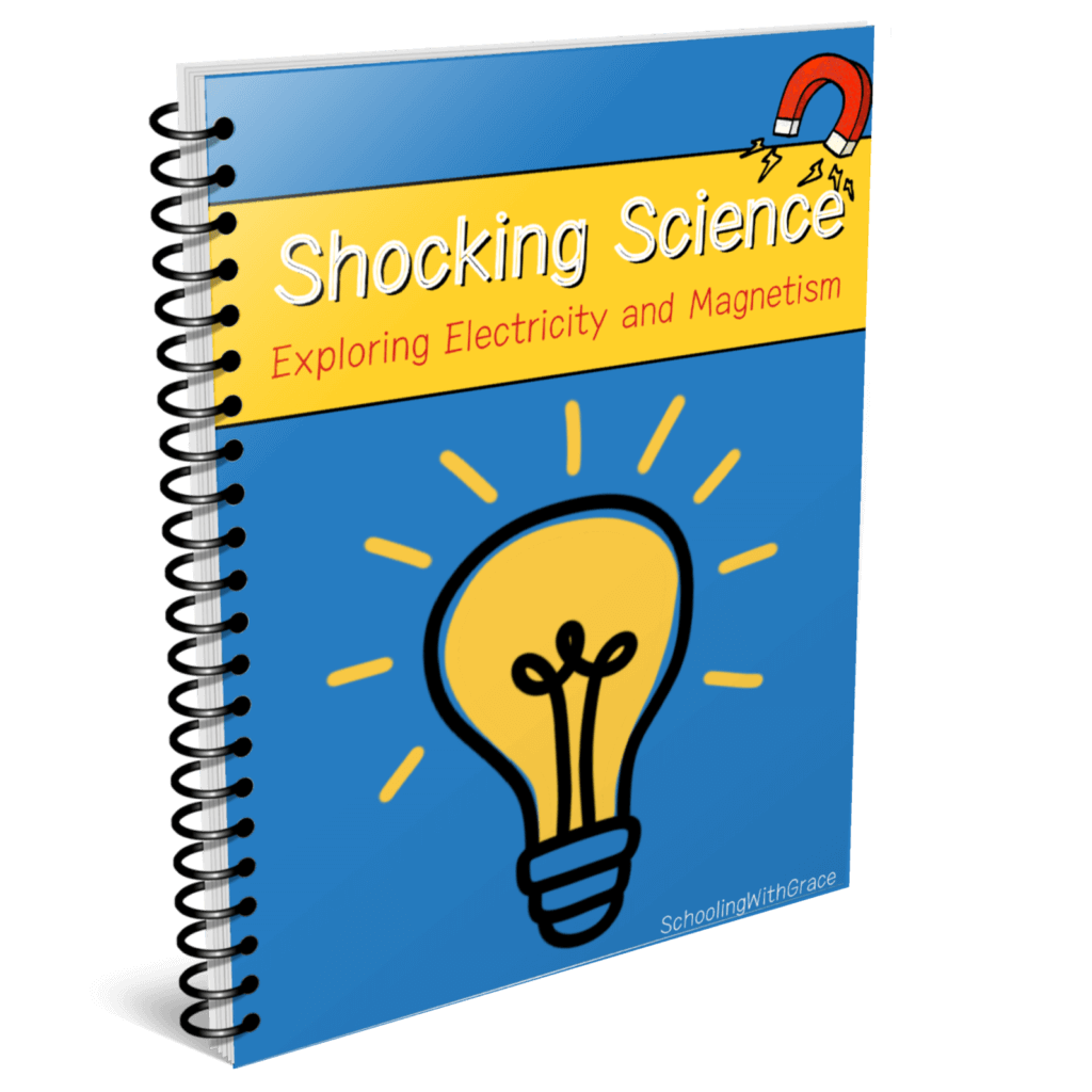 Electricity and magnetism curriculum