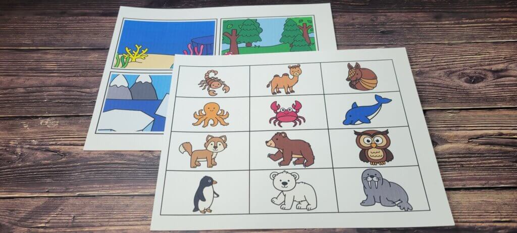 Habitat Sorting Activity